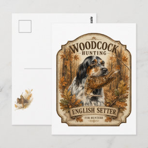 English Setter, Waldschnepfenjagd Postkarte