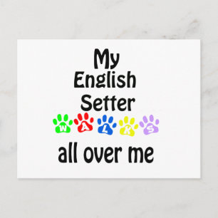 English Setter Walks Design Postkarte