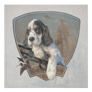 English Setter Welpe mit klassischem Showgun Poster