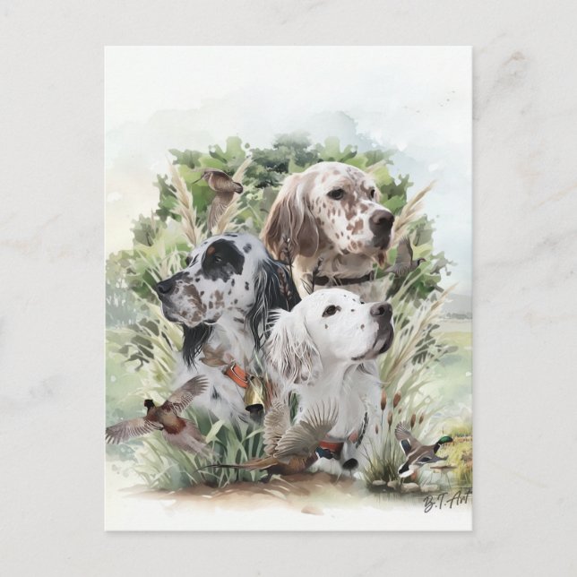 English Setters Postkarte (Vorderseite)