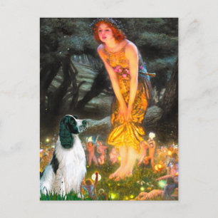 English Springer 7 - Mittsommerabend Postkarte