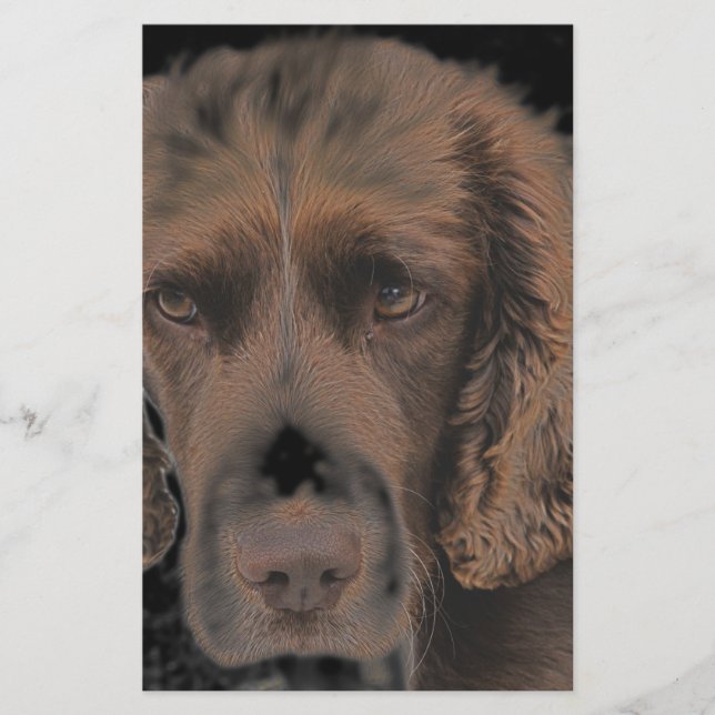 English Springer Hunde Briefpapier (Vorderseite)