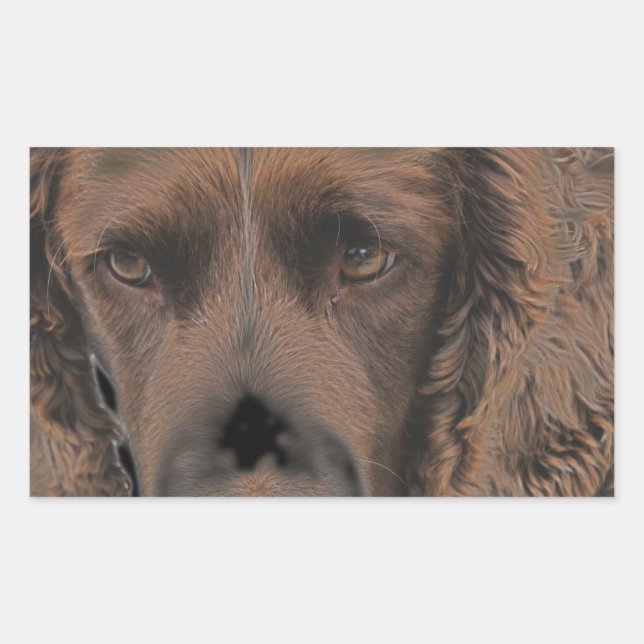 English Springer Hunde Rechteckiger Aufkleber (Vorderseite)