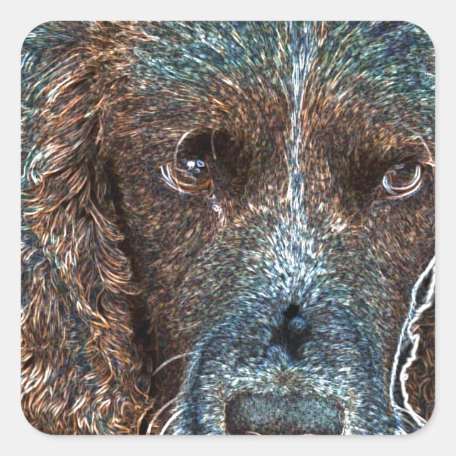 English Springer Quadratischer Aufkleber (Vorderseite)