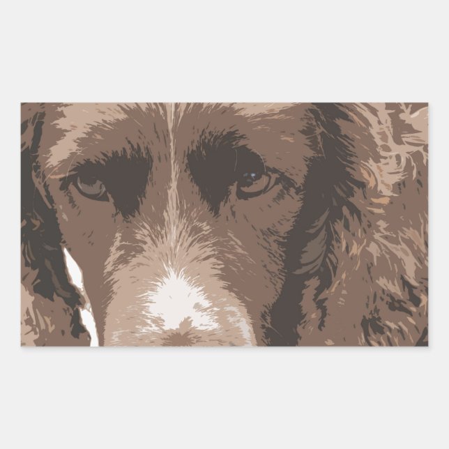 English Springer Rechteckiger Aufkleber (Vorderseite)