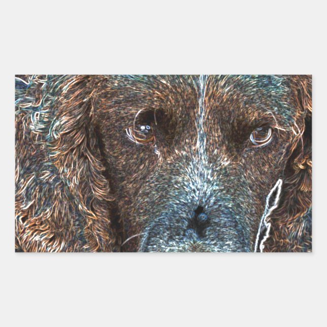 English Springer Rechteckiger Aufkleber (Vorderseite)