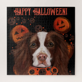 English Springer Spanel