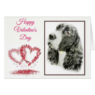 English Springer Spanel