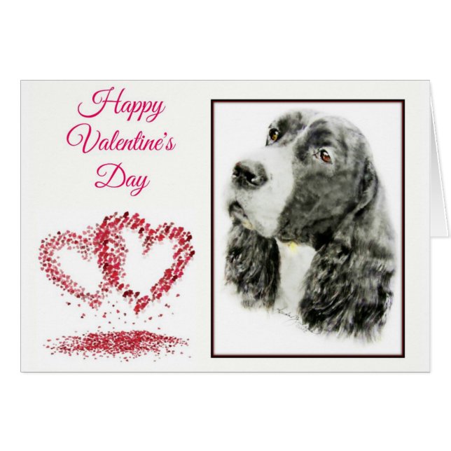 English Springer Spanel (Vorderseite (Horizontal))