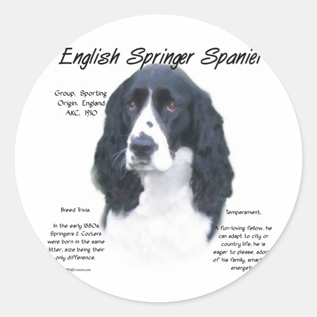 English Springer Spanel (blk) History Design Runder Aufkleber (Vorderseite)
