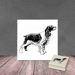 English Springer Spanel Dog Breed Gummistempel