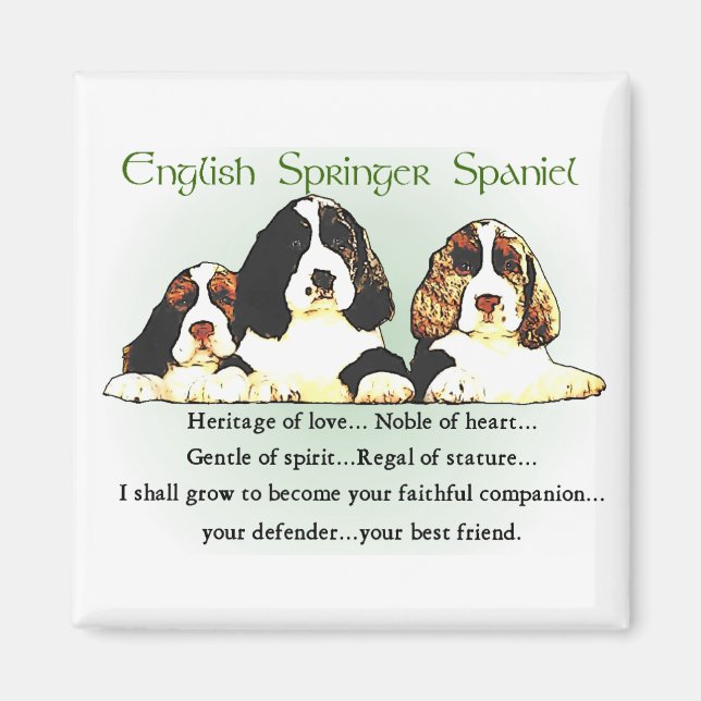 English Springer Spanel Geschenke Magnet (Vorne)