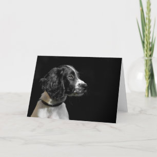 English Springer Spanel Karte