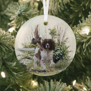 English Springer Spanel Ornament Aus Glas