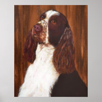 English Springer Spanel