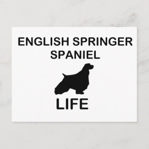 English Springer Spaner silo life2 Postkarte