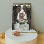 English Springer Spaniel Dog Funny Birthday Karte<br><div class="desc">Diese beliebte Geburtstagskarte für alle,  die das Foto eines lieblichen,  braunen und weißen Springer Spanierhundes mit einer sensiblen Nase zum Geburtstag hat. Wählen Sie den finalen Stil Ihrer Karte aus.</div>