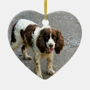 english springer spaniel full.png keramik ornament