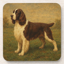 English Springer Spaniel Getränkeuntersetzer