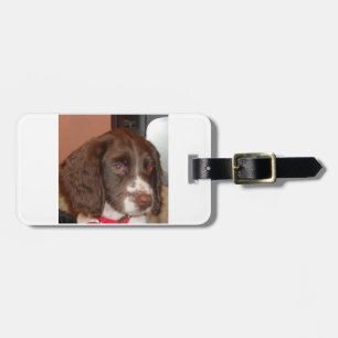 English_Springer_Spaniel lw Welpe Gepäckanhänger