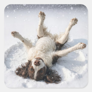 English Springer Spaniel macht einen Schneehangel Quadratischer Aufkleber