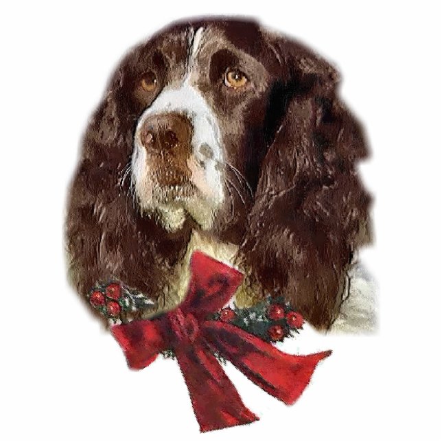 English Springer Spaniel Weihnachtsgeschenke Ornam Fotoskulptur Ornament (Vorne)