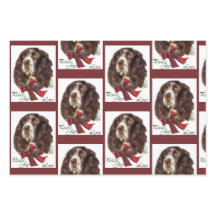 English Springer Spanier Weihnachten