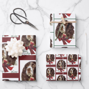 English Springer Spanier Weihnachten Geschenkpapier Set