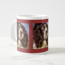 English Springer Spanisch Art