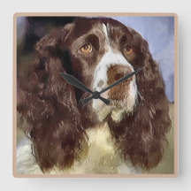 English Springer Spanisch Art