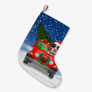 English Springer Spanischer Hund mit Weihnachtsges Kleiner Weihnachtsstrumpf