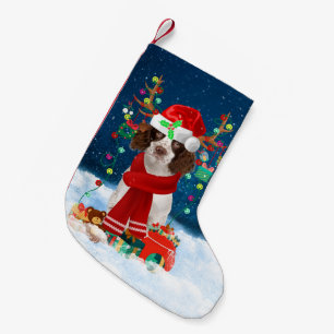 English Springer Spanischer Hund mit Weihnachtsges Kleiner Weihnachtsstrumpf