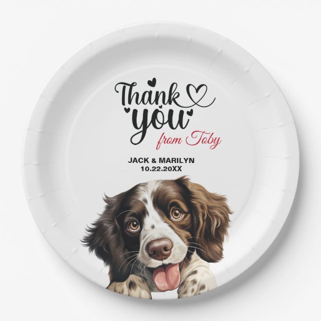 English Springer Spanish Wedding Vielen Dank Pappteller (Vorderseite)