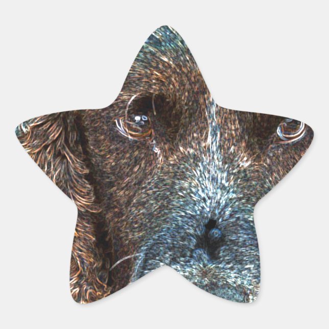 English Springer Stern-Aufkleber (Vorderseite)