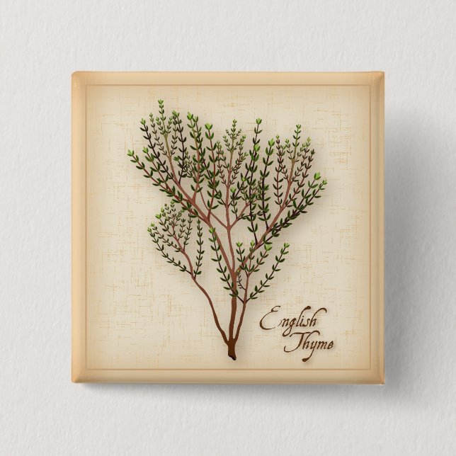 English Thyme Herb Button (Vorderseite)
