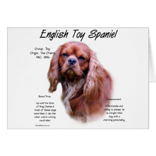 English Toy Spaniel (rubis) Histoire Design