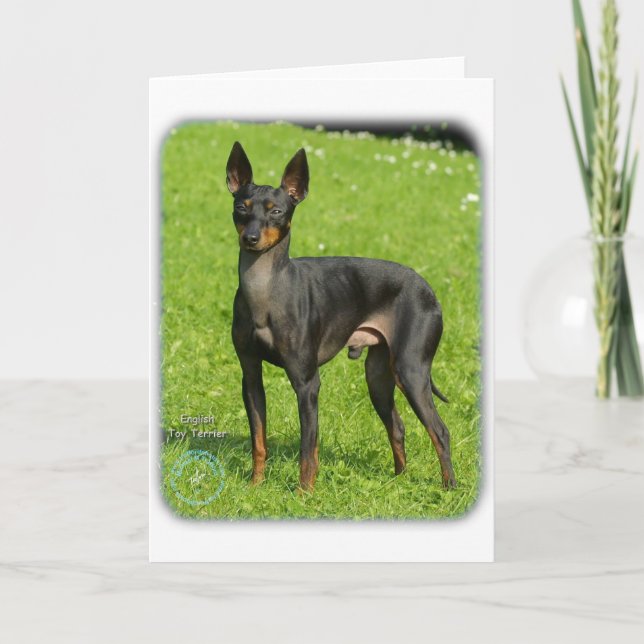English Toy Terrier 9R78D-77 Karte (Vorderseite)