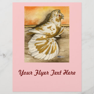 English Trumpeter Pigeon Yellow Splash Flyer