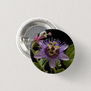 Enigmatic Beauty: Die Lila Passion-Blume Button