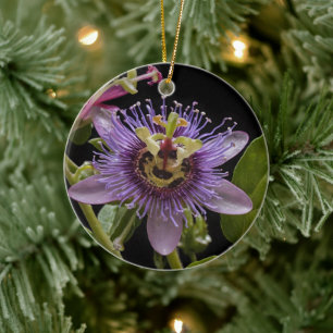 Enigmatic Beauty: Die Lila Passion-Blume Keramik Ornament