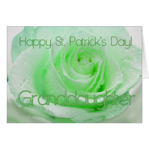Enkelin St. Patrick's Irish Rose