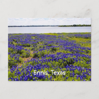 Ennis Bluebonnets von Lake Bardwell Postcard Postkarte