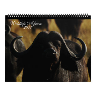 Enorme Größe von 2011 Tieren der Kalender