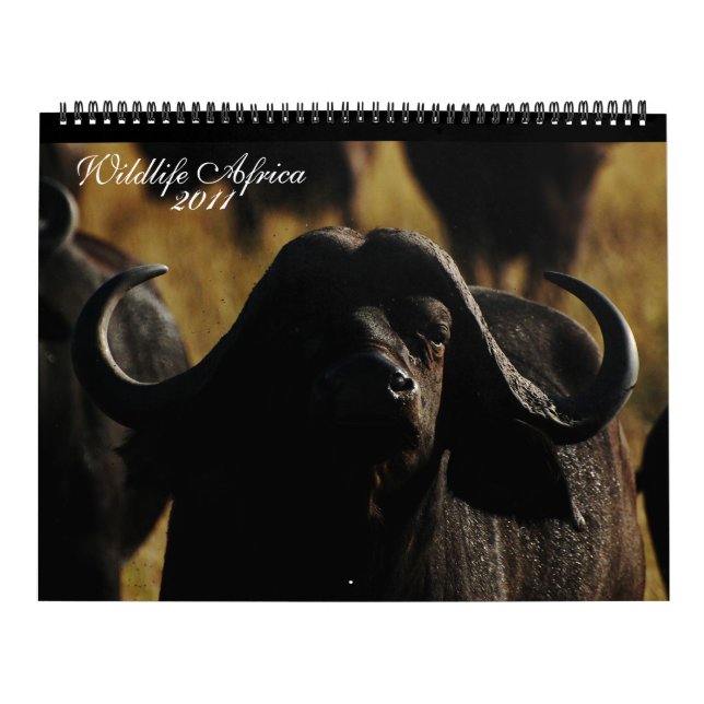 Enorme Größe von 2011 Tieren der Kalender (Titelbild)