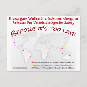 Enquêter sur la carte postale Wolbachia par RoseWr