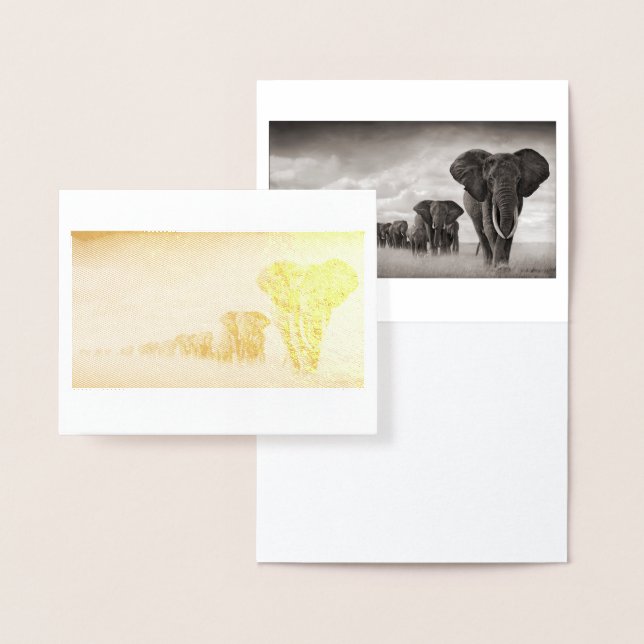 Enregistrer la carte d'huile d'éléphants (Affichage)