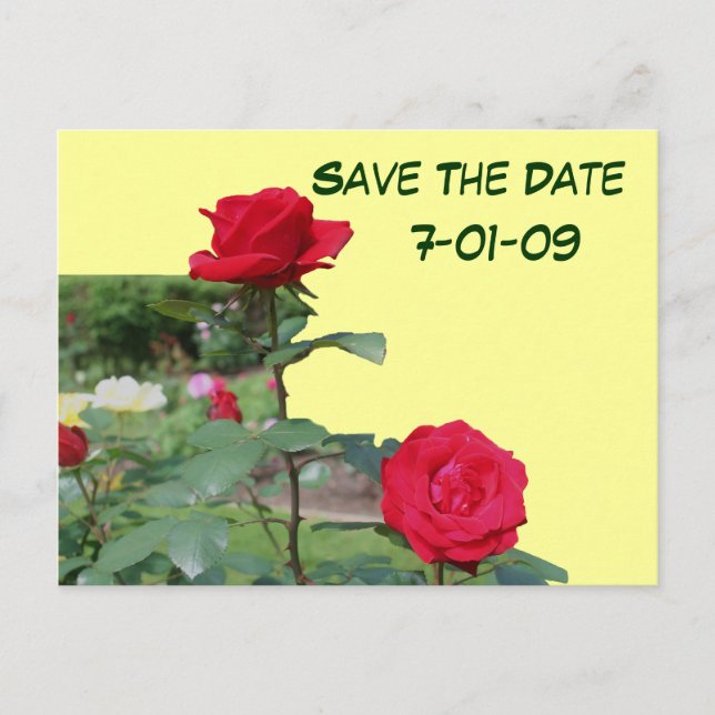 Enregistrer La Date Carte Postale Photo Fleur Rose (Devant)