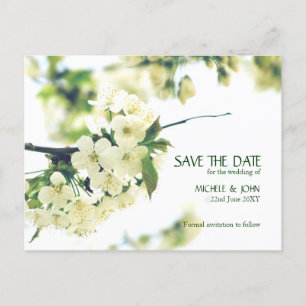 Enregistrer La Date Carte Postale White Cherry Blo