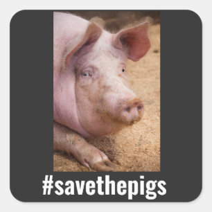 ENREGISTRER LES PIGS PIG VEGAN STICKERS