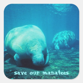 Enregistrer nos autocollants Manatees